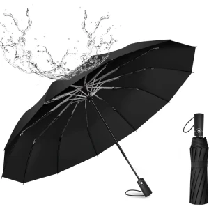 Umbrella.webp