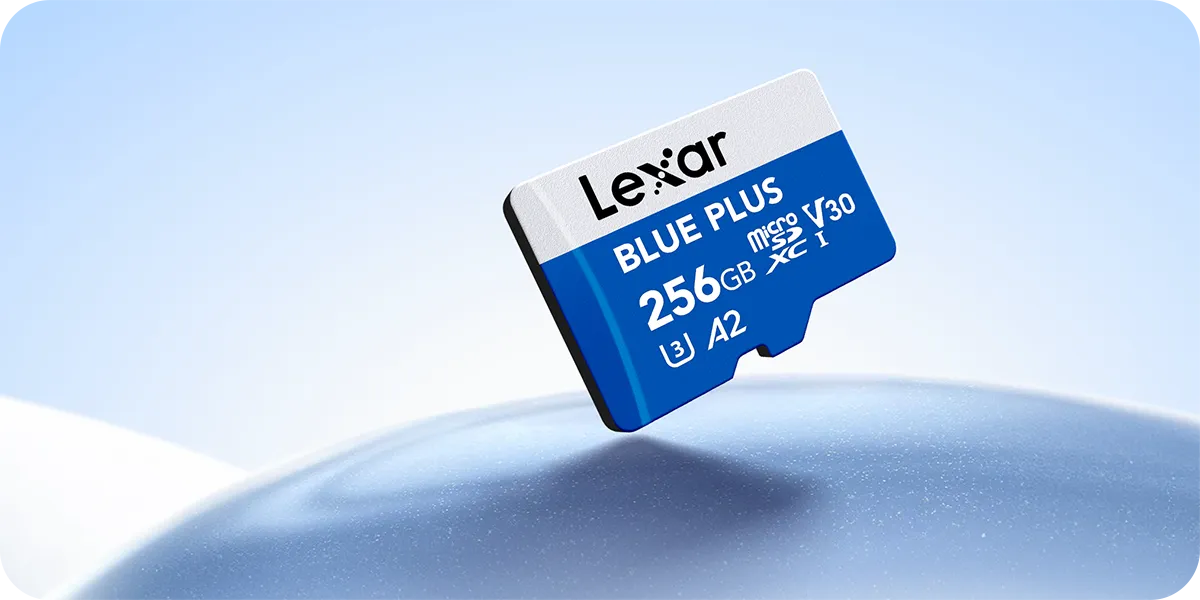 karta pamięci lexar blue plus 256GB